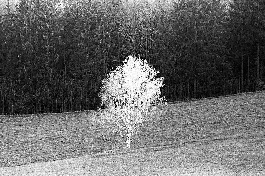 Im Verlag DresdnerKünstlerKarten erscheint im Frühjahr das Heft Momentaufnahmen mit Gedichten und Fotografien von Luc Saalfeld.